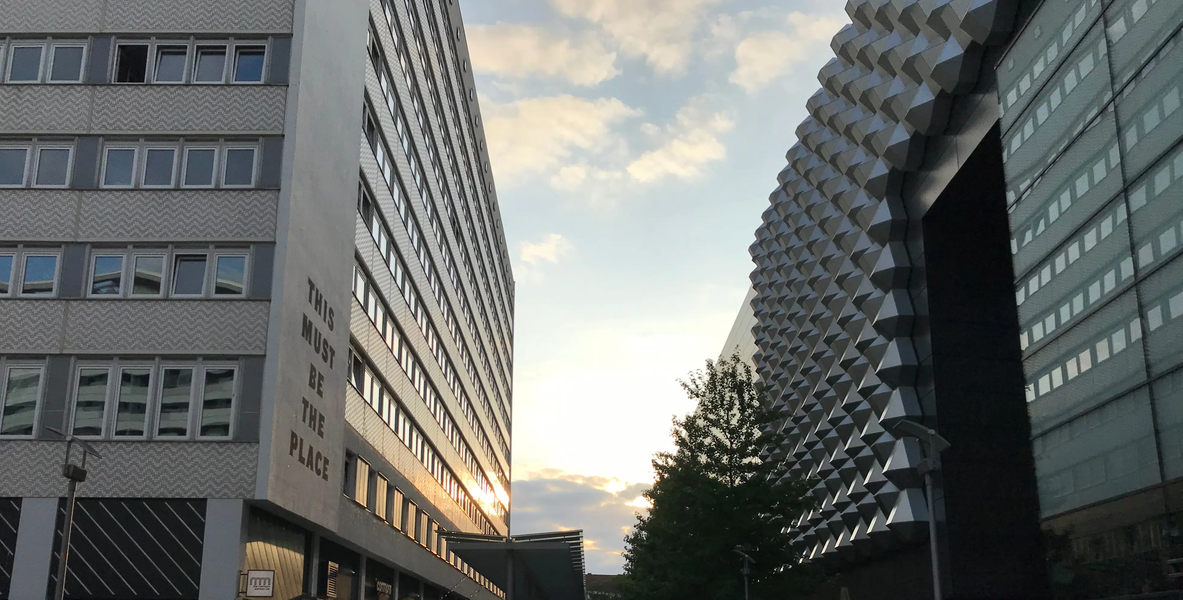 company's environment